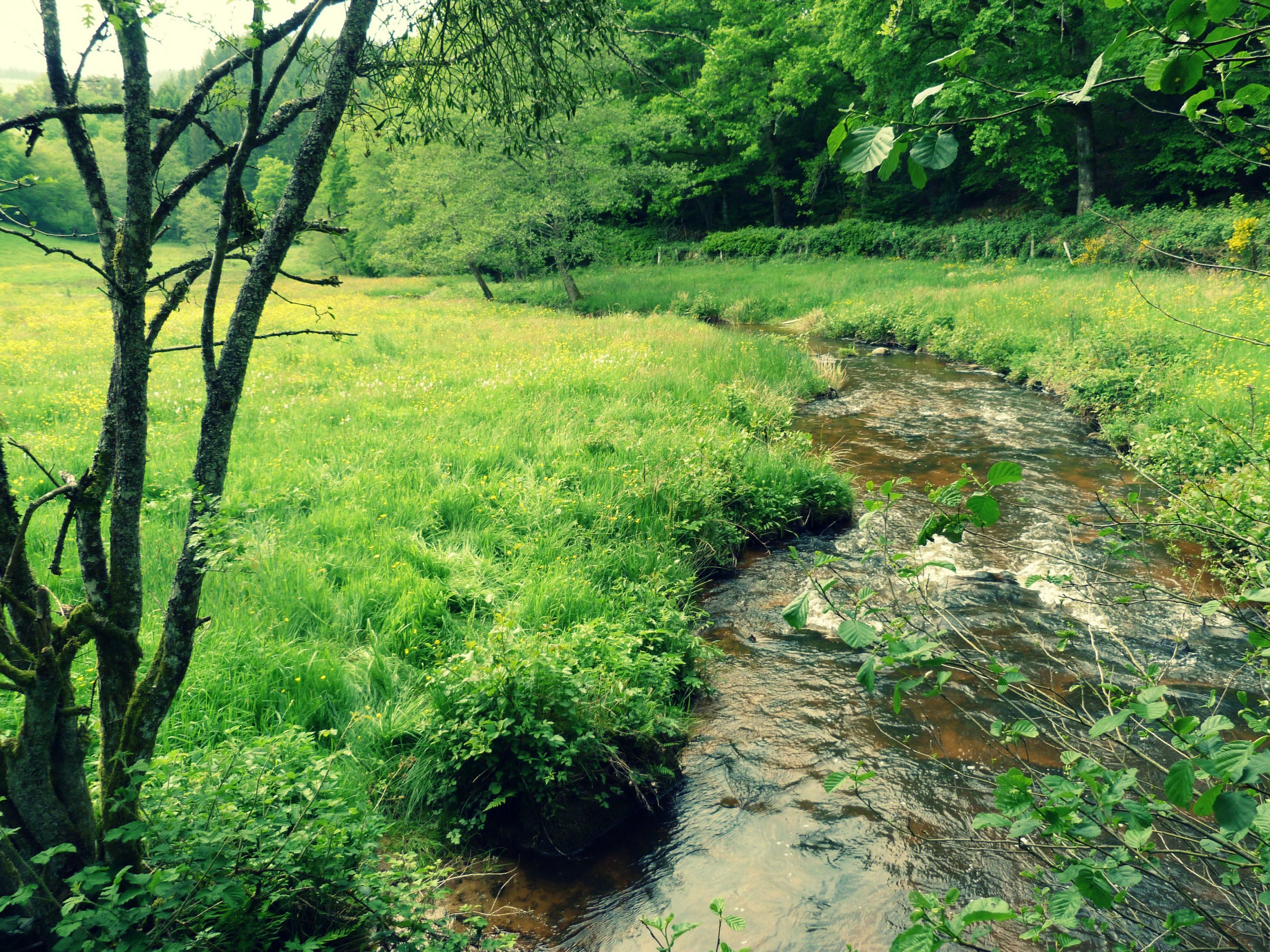 Gites au bord du lac des settons - entre lacs et forêts dans le Morvan - Gîtes d'Adrien