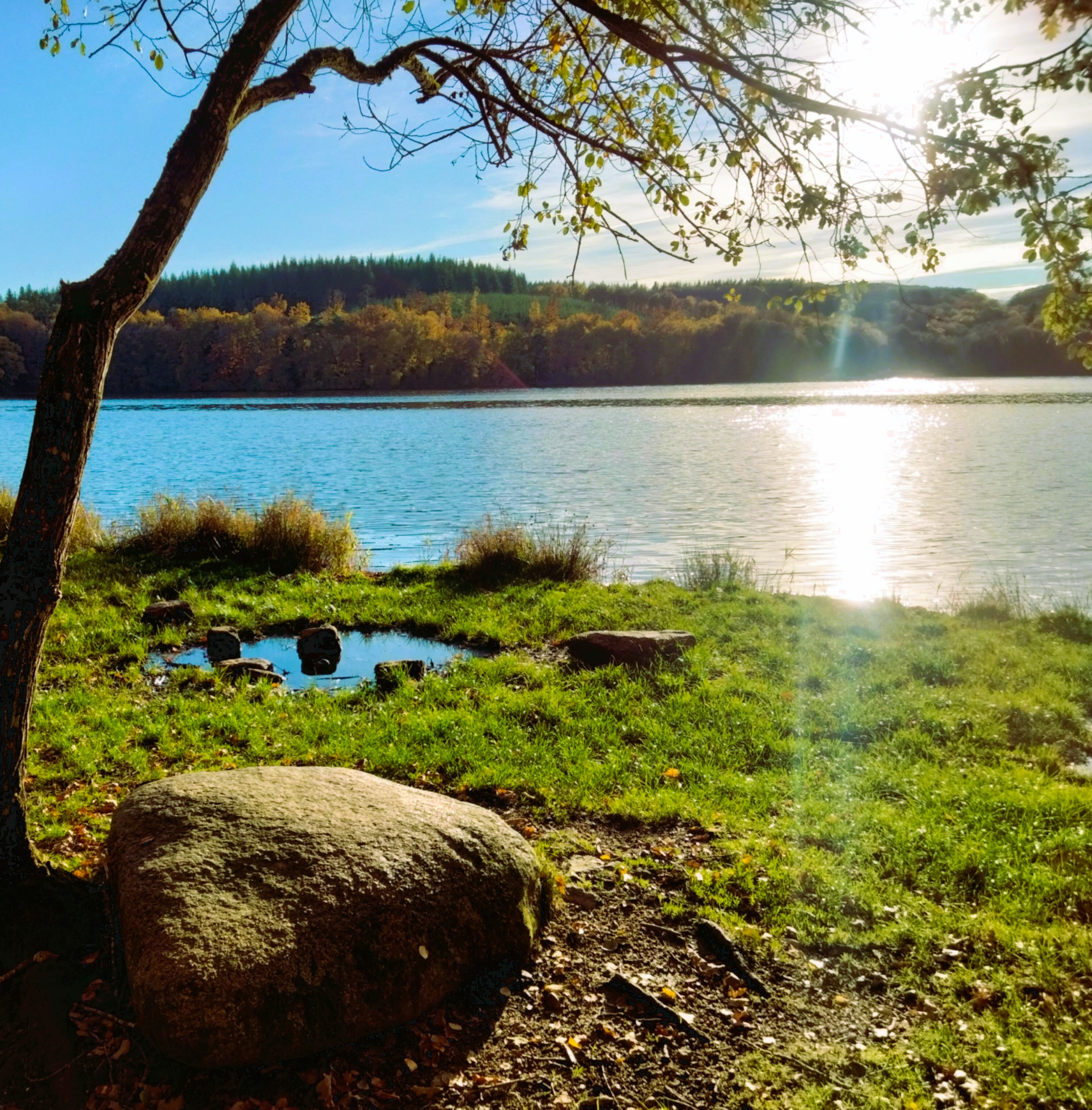 Gites au bord du lac des settons - entre lacs et forêts – en Morvan